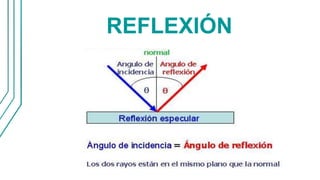 REFLEXIÓN
 