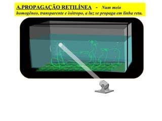 A.PROPAGAÇÃO RETILÍNEA - Num meio
homogêneo, transparente e isótropo, a luz se propaga em linha reta.
 