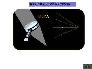 B.CÔNICO CONVERGENTE



   LUPA
 