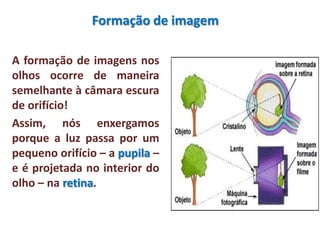 Formação de imagem
A formação de imagens nos
olhos ocorre de maneira
semelhante à câmara escura
de orifício!
Assim, nós enxergamos
porque a luz passa por um
pequeno orifício – a pupila –
e é projetada no interior do
olho – na retina.
 
