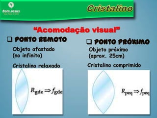 “Acomodação visual”
 Ponto Remoto
Objeto afastado
(no infinito)
Cristalino relaxado
 Ponto Próximo
Objeto próximo
(aprox. 25cm)
Cristalino comprimido
 