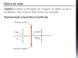 Óptica da visão
Objetivo: analisar a formação de imagens no globo ocular e
os defeitos mais comuns, bem como sua correção.
Representação esquemática simplificada
 