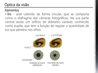 Elementos
• Íris - anel colorido de forma circular, que se comporta
como o diafragma das câmaras fotográficas. Na sua parte
central existe um orifício de diâmetro variável, conhecido
como pupila, que tem a função de regular a quantidade de
luz que penetra nos olhos.
Óptica da visão
 