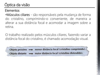 Elementos
•Músculos ciliares - são responsáveis pela mudança de forma
do cristalino, comprimindo-o conveniente, de maneira a
alterar a sua distância focal e acomodar a imagem sobre a
retina.
O trabalho realizado pelos músculos ciliares, fazendo variar a
distância focal do cristalino, é chamado acomodação visual.
Óptica da visão
 
