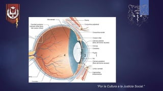 “Por la Cultura a la Justicia Social.”
12
3
4
 