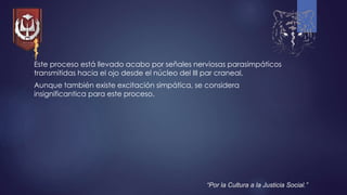 Este proceso está llevado acabo por señales nerviosas parasimpáticos
transmitidas hacia el ojo desde el núcleo del III par craneal,
Aunque también existe excitación simpática, se considera
insignificantica para este proceso.
“Por la Cultura a la Justicia Social.”
 