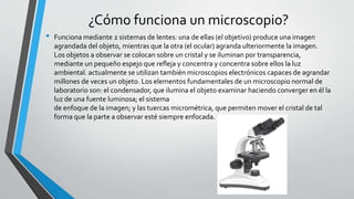 ¿Cómo funciona un microscopio?
• Funciona mediante 2 sistemas de lentes: una de ellas (el objetivo) produce una imagen
agrandada del objeto, mientras que la otra (el ocular) agranda ulteriormente la imagen.
Los objetos a observar se colocan sobre un cristal y se iluminan por transparencia,
mediante un pequeño espejo que refleja y concentra y concentra sobre ellos la luz
ambiental. actualmente se utilizan también microscopios electrónicos capaces de agrandar
millones de veces un objeto. Los elementos fundamentales de un microscopio normal de
laboratorio son: el condensador, que ilumina el objeto examinar haciendo converger en él la
luz de una fuente luminosa; el sistema
de enfoque de la imagen; y las tuercas micrométrica, que permiten mover el cristal de tal
forma que la parte a observar esté siempre enfocada.
 