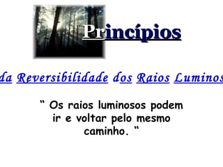 Pr incípios c)  da   Reversibilidade  d os   Raios   Luminosos “  Os raios luminosos podem ir e voltar pelo mesmo caminho. “ 