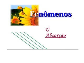 Fe nômenos c)  Absorção   