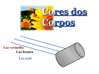 Co res   dos  Co rpos Luz branca Luz vermelha Luz azul 