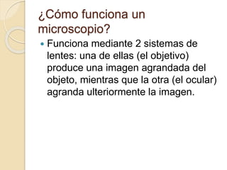¿Cómo funciona un
microscopio?
 Funciona mediante 2 sistemas de
lentes: una de ellas (el objetivo)
produce una imagen agrandada del
objeto, mientras que la otra (el ocular)
agranda ulteriormente la imagen.
 