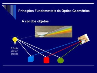 Princípios Fundamentais da Óptica Geométrica A cor dos objetos F:fonte de luz branca 
