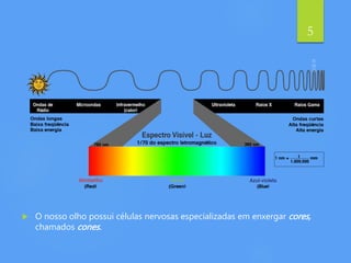  O nosso olho possui células nervosas especializadas em enxergar cores,
chamados cones.
5
 