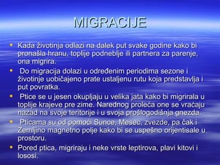 MIGRACIJE
 Kada životinja odlazi na dalek put svake godine kako bi
  pronašla hranu, toplije podneblje ili partnera za parenje,
  ona migrira.
 Do migracija dolazi u određenim periodima sezone i
  životinje uobičajeno prate ustaljenu rutu koja predstavlja i
  put povratka.
 Ptice se u jesen okupljaju u velika jata kako bi migrirala u
  toplije krajeve pre zime. Narednog proleća one se vraćaju
  nazad na svoje teritorije i u svoja prošlogodišnja gnezda.
 Pticama su od pomoći Sunce, Mesec, zvezde, pa čak i
  Zemljino magnetno polje kako bi se uspešno orijentisale u
  prostoru.
 Pored ptica, migriraju i neke vrste leptirova, plavi kitovi i
  lososi.
 