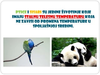 Ptice i sisari su jedine životinje koje
imaju stalnu telesnu temperaturu koja
ne zavisi od promena temperature u
spoljašnjoj sredini.
 
