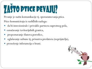 Pevanje je način komunikacije tj. sporazumevanja ptica.
Ptice komuniciraju iz različitih razloga:
 da bi imresionirale i privukle partnera suprotnog pola,
 označavanje teritorijalnih granica,
 prepoznavanje članova porodice,
 oglašavanje uzbune tj, prisustva predatora (neprijatelja),
 prenošenje inforamcija o hrani.
 