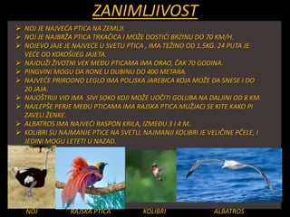 ZANIMLJIVOST
 NOJ JE NAJVEĆA PTICA NA ZEMLJI.
 NOJ JE NAJBRŽA PTICA TRKAČICA I MOŽE DOSTIĆI BRZINU DO 70 KM/H.
 NOJEVO JAJE JE NAJVEĆE U SVETU PTICA , IMA TEŽINO OD 1.5KG. 24 PUTA JE
VEĆE OD KOKOŠIJEG JAJETA.
 NAJDUŽI ŽIVOTNI VEK MEĐU PTICAMA IMA ORAO, ČAK 70 GODINA.
 PINGVINI MOGU DA RONE U DUBINU DO 400 METARA.
 NAJVEĆE PRIRODNO LEGLO IMA POLJSKA JAREBICA KOJA MOŽE DA SNESE I DO
20 JAJA.
 NAJOŠTRIJI VID IMA SIVI SOKO KOJI MOŽE UOČITI GOLUBA NA DALJINI OD 8 KM.
 NAJLEPŠE PERJE MEĐU PTICAMA IMA RAJSKA PTICA.MUŽJACI SE KITE KAKO PI
ZAVELI ŽENKE.
 ALBATROS IMA NAJVEĆI RASPON KRILA, IZMEĐU 3 I 4 M.
 KOLIBRI SU NAJMANJE PTICE NA SVETU, NAJMANJI KOLIBRI JE VELIČINE PČELE, I
JEDINI MOGU LETETI U NAZAD.
NOJ RAJSKA PTICA KOLIBRI ALBATROS
 