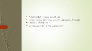 Postoji između 9 i 10 tisuća poznatih vrsta
 Najraznovrsniji su razred među kopnenim kralježnjacima (Teropoda)
 Svrstane su u razred Aves
 Sve imaju zajedničkog pretka - Archaeopteryx
 