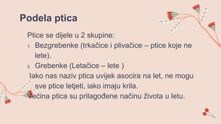 Podela ptica
Ptice se dijele u 2 skupine:
1. Bezgrebenke (trkačice i plivačice – ptice koje ne
lete).
2. Grebenke (Letačice – lete )
Iako nas naziv ptica uvijek asocira na let, ne mogu
sve ptice letjeti, iako imaju krila.
Većina ptica su prilagođene načinu života u letu.
 
