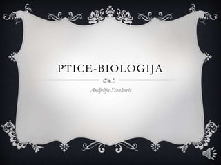 PTICE-BIOLOGIJA
Andjelija Stankovic
 