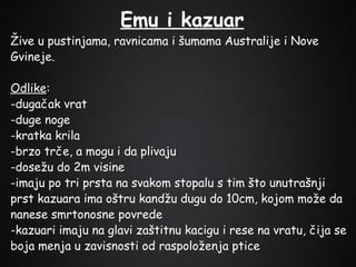 Emu i kazuar

Žive u pustinjama, ravnicama i šumama Australije i Nove
Gvineje.
Odlike:
-dugačak vrat
-duge noge
-kratka krila
-brzo trče, a mogu i da plivaju
-dosežu do 2m visine
-imaju po tri prsta na svakom stopalu s tim što unutrašnji
prst kazuara ima oštru kandžu dugu do 10cm, kojom može da
nanese smrtonosne povrede
-kazuari imaju na glavi zaštitnu kacigu i rese na vratu, čija se
boja menja u zavisnosti od raspoloženja ptice

 