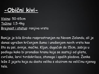 -Obični kiviVisina: 50-65cm
Težina: 1,5-4kg
Brojnost i status: ranjiva vrsta
Ranije je bila široko rasprostranjen na Novom Zelandu, ali je
danas ugrožen krčenjem šuma i unošenjem novih vrsta kao
što su psi, svinje, mačke. Kljun, dugačak do 15cm, zabija u
podlogu kako bi pronašao hranu koja se sastoji od glista,
cvrčaka, larvi tvrdokrilaca, stonoga i opalih plodova. Ženka
leže 2 jajeta koja su dosta velika s obzirom na veličinu njenog
tela.

 