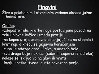 Pingvini

Žive u priobalnim i otvorenim vodama okeana južne
hemisfere.
Odlike:
-zdepasto telo, kratke noge postavljene pozadi na
telu i plovne kožice između prstiju
-na kopnu stoje uspravno oslanjajući se na stopala i
krut rep, a kreću se gegavim koračanjem
-ruho je odozgo crno ili sivo, a odozdo belo
-sve druge boje i ukrasi (ćube ili čuperci iznad oka)
nalaze se isključivo na glavi ili vratu
-imaju kratko, tvrdo, gusto povezano perje

 