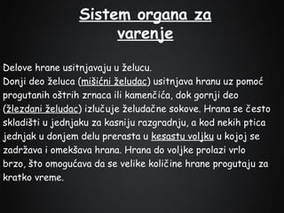 Sistem organa za
varenje
Delove hrane usitnjavaju u želucu.
Donji deo želuca (mišićni želudac) usitnjava hranu uz pomoć
progutanih oštrih zrnaca ili kamenčića, dok gornji deo
(žlezdani želudac) izlučuje želudačne sokove. Hrana se često
skladišti u jednjaku za kasniju razgradnju, a kod nekih ptica
jednjak u donjem delu prerasta u kesastu voljku u kojoj se
zadržava i omekšava hrana. Hrana do voljke prolazi vrlo
brzo, što omogućava da se velike količine hrane progutaju za
kratko vreme.

 
