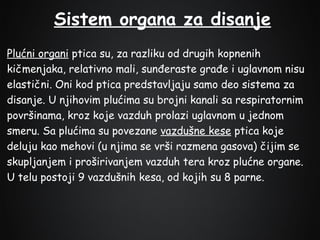 Sistem organa za disanje
Plućni organi ptica su, za razliku od drugih kopnenih
kičmenjaka, relativno mali, sunđeraste građe i uglavnom nisu
elastični. Oni kod ptica predstavljaju samo deo sistema za
disanje. U njihovim plućima su brojni kanali sa respiratornim
površinama, kroz koje vazduh prolazi uglavnom u jednom
smeru. Sa plućima su povezane vazdušne kese ptica koje
deluju kao mehovi (u njima se vrši razmena gasova) čijim se
skupljanjem i proširivanjem vazduh tera kroz plućne organe.
U telu postoji 9 vazdušnih kesa, od kojih su 8 parne.

 