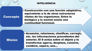 INTELIGENCIA
• Construcción con una función adaptativa,
equivalente a la de otras estructuras
vitales de los organismos. Entre lo
biológico y lo mental existe una
continuidad funcional.
Concepto
• Acumular, relacionar, clasificar, corregir,
etc. las informaciones procedentes del
exterior. El S actúa sobre el objeto y lo
transforma: agarra, desplaza, conecta,
combina, separa, une...
Misión
 