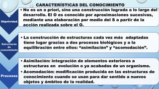 TIPOS DE REPRESENTACION
Objetividad
• No es un a priori, sino una construcción lograda a lo largo del
desarrollo. El O es conocido por aproximaciones sucesivas,
mediante una elaboración por medio del S a partir de la
acción realizada sobre el O.
Estructuras
de
conocimiento
• La construcción de estructuras cada vez más adaptadas
tiene lugar gracias a dos procesos biológicos y a la
equilibración entre ellos: “asimilación” y “acomodación”.
Procesos
• Asimilación: integración de elementos exteriores a
estructuras en evolución o ya acabadas de un organismo.
• Acomodación: modificación producida en las estructuras de
conocimiento cuando se usan para dar sentido a nuevos
objetos y ámbitos de la realidad.
CARACTERÍSTICAS DEL CONOCIMIENTO
 