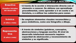PERCEPCIÓN DE LA REALIDAD
• A través de la acción e interacción directa con el
elemento a conocer. Se obtiene con aprendizaje
procedimental, como aprender a ir en coche o en
bicicleta, o a utilizar los cubiertos para comer.
Enactiva
Estadios iniciales
del desarrollo
• Se emplean elementos visuales reconocibles y
poco simbólicos, como una fotografía o dibujo.
Icónica
(3 años a más)
• A través de símbolos (palabras, conceptos,
abstracciones y lenguaje escrito). El nivel de
desarrollo intelectual necesario requiere
capacidad de abstracción y reconocimiento de
símbolos y su significado.
Representa-
tiva
(6 años a más)
 