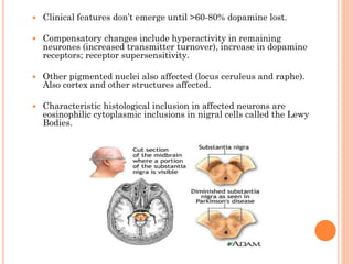 

Clinical features don’t emerge until >60-80% dopamine lost.



Compensatory changes include hyperactivity in remaining
neurones (increased transmitter turnover), increase in dopamine
receptors; receptor supersensitivity.



Other pigmented nuclei also affected (locus ceruleus and raphe).
Also cortex and other structures affected.



Characteristic histological inclusion in affected neurons are
eosinophilic cytoplasmic inclusions in nigral cells called the Lewy
Bodies.

 