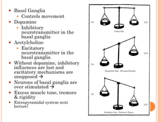  Basal Ganglia
 Controls movement

 Dopamine
 Inhibitory








neurotransmitter in the
basal ganglia
Acetylcholine
 Excitatory
neurotransmitter in the
basal ganglia
Without dopamine, inhibitory
influences are lost and
excitatory mechanisms are
unopposed 
Neurons of basal ganglia are
over stimulated 
Excess muscle tone, tremors
& rigidity

 Extrapyramidal system next
lecture!

 