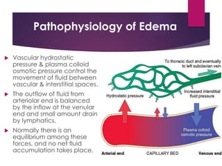 Comprehensive Physiotherapy Management of Edema: Assessment and ...