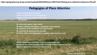 https://geography.org.uk/wp-content/uploads/2023/05/Sharon-Witt-Field-VIsiting-as-a-collective-endeavour-GA.pdf
 