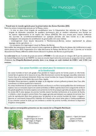Vie municipale
• Travail avec le monde agricole pour la préservation des Zones Humides (ZH)
Parmi les actions transversales prévues sur le Plateau, citons :
	 - la mise en place d’une brigade de sensibilisation pour la fréquentation des véhicules sur le Plateau : une
	 brigade de bénévoles composée de quadders, promeneurs, élus et cavaliers volontaires, sera formée sur
	 les aspects réglementaires et de respect des milieux (ONCFS). Elle aura ensuite pour mission d’effectuer
	 des tournées de surveillance/sensibilisation sur quelques périodes clés dans l’année et à des endroits
	 stratégiques. Une plaquette de sensibilisation du grand public sera aussi réalisée.
	 - L’aménagement d’une boucle découverte à Menthonnex-en-Bornes, secteur représentatif du plateau
	 (paysage, marais, agriculture…).
	 - La conception d’un logo/support visuel du Plateau des Bornes
Sans oublier des événements annuels comme la visite organisée de différents Marais du plateau, des conférences et expo-
sitions photos et en 2019, l’organisation d’un rallye découverte du Plateau des Bornes. Sur une ½ journée, sur la boucle
découverte du Plateau, différents ateliers feront découvrir le plateau des Bornes au grand public.
Le coût total de ces 3 années de projet est estimé à 472 000  €. Ce coût est pris en charge à 66 % par les subventions
du Conseil Départemental et de l’AERMC.Le reste est ensuite réparti entre les communes en proportion de leur nombre
d’habitants. La Chapelle-Rambaud prendra donc à sa charge un coût résiduel de 6 500 € soit 2 150 €/an
environ.
Bulletin N° 12
P 5
Mai 2017
Les zones humides : un atout pour la ressource en eau
et la biodiversité
Les zones humides et leurs sols gorgés d’eau pendant la majeure partie de l’année, jouent un rôle fonda-
mental dans la gestion de la ressource en eau. Elles fonctionnent comme des éponges naturelles, retiennent
l’excès d’eau et la restituent lentement. Grâce aux zones humides, les risques d’inondation sont limités, les
sources alimentées et les débits des cours d’eau régulés.
Véritables filtres épurateurs, capables de piéger et de dégrader certains polluants présents dans l’eau, elles
contribuent à la bonne qualité de la ressource.
Au niveau biodiversité,les zones humides abritent une faune et une flore remarquables dont de nombreuses
espèces rares et menacées (Liparis de Loesel (orchidée) et Œillet superbe,Azuré de la sanguisorbe et Azuré
des paluds (papillons).Certaines espèces sont présentes du fait de pratiques agricoles pratiquées jusque dans
les années 60. A cette époque, les prairies humides étaient fauchées tardivement, et le produit de fauche,
« la blache », était récupéré comme litière. Ces usages agricoles permettaient aux espèces de terminer leur
cycle de reproduction (faire leurs graines pour les plantes), et aux prairies humides de rester « maigres »
(pauvres en nutriments).Aujourd’hui, l’abandon de la fauche des marais laisse place à l’embroussaillement
et aux arbustes comme le saule, qui ont tendance à envahir les prairies humides, entraînant la disparition
d’espèces remarquables.
Ophioglossum v. =
fougère langue de serpent
(protégée en Région
Rhône-Alpes)
Liparis L = liparis de loesel
(petite orchidée
protégée en France)
Deux espèces remarquables présentes sur des marais de La Chapelle-Rambaud :
 