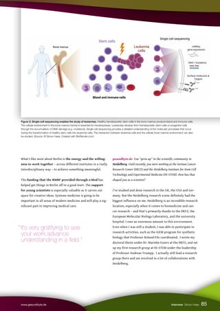 Figure 2: Single-cell sequencing enables the study of leukemias. Healthy hematopoietic stem cells in the bone marrow produce blood and immune cells.
The cellular environment in the bone marrow (niche) is essential for hematopoiesis. Leukemias develop from hematopoietic stem cells or progenitor cells
through the accumulation of DNA damage (e.g. mutations). Single-cell sequencing provides a detailed understanding of the molecular processes that occur
during the transformation of healthy stem cells into leukemia cells. The interaction between leukemia cells and the cellular bone marrow environment can also
be studied. (Source: © Simon Haas, Created with BioRender.com)
85
www.gesundhyte.de Interview Simon Haas
What I like most about Berlin is the energy and the willing-
ness to work together – across different institutes in a really
interdisciplinary way – to achieve something meaningful.
The funding that the BMBF provided through e:Med has
helped get things in Berlin off to a good start. The support
for young scientists is especially valuable as it carves out
space for creative ideas. Systems medicine is going to be
important in all areas of modern medicine and will play a sig-
nificant part in improving medical care.
gesundhyte.de: You “grew up” in the scientific community in
Heidelberg. Until recently, you were working at the German Cancer
Research Center (DKFZ) and the Heidelberg Institute for Stem Cell
Technology and Experimental Medicine (HI-STEM). How has that
shaped you as a scientist?
I’ve studied and done research in the UK, the USA and Ger-
many. But the Heidelberg research scene definitely had the
biggest influence on me. Heidelberg is an incredible research
location, especially when it comes to biomedicine and can-
cer research – and that’s primarily thanks to the DKFZ, the
European Molecular Biology Laboratory, and the university
hospital. I owe an enormous amount to this environment.
Even when I was still a student, I was able to participate in
research activities, such as the iGEM program for synthetic
biology that Professor Roland Eils coordinated. I wrote my
doctoral thesis under Dr. Marieke Essers at the DKFZ, and set
up my first research group at HI-STEM under the leadership
of Professor Andreas Trumpp. I actually still lead a research
group there and am involved in a lot of collaborations with
Heidelberg.
“ It’s very gratifying to see
your work advance
understanding in a field.”
 