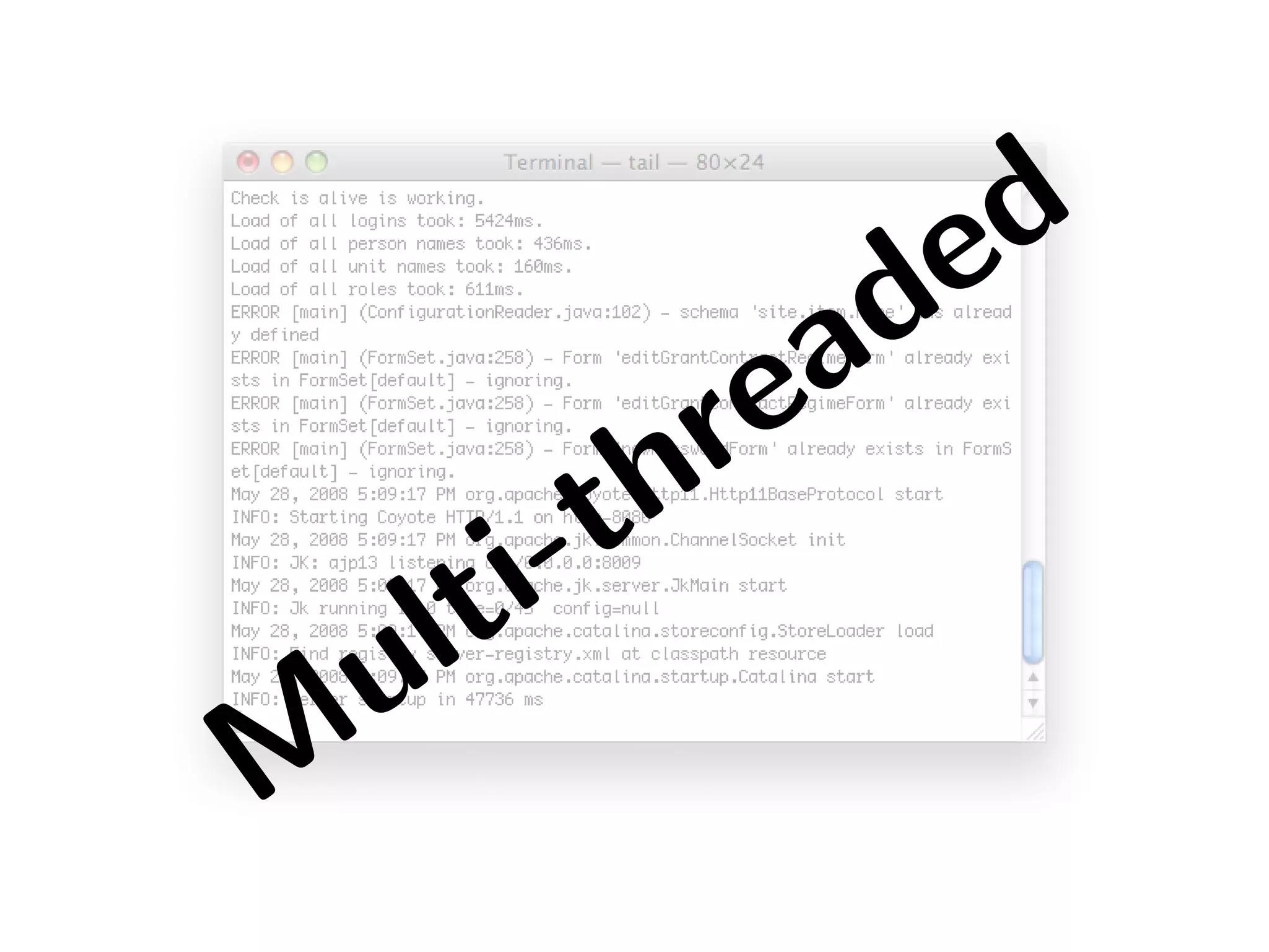 The tale of the Fénix architecture