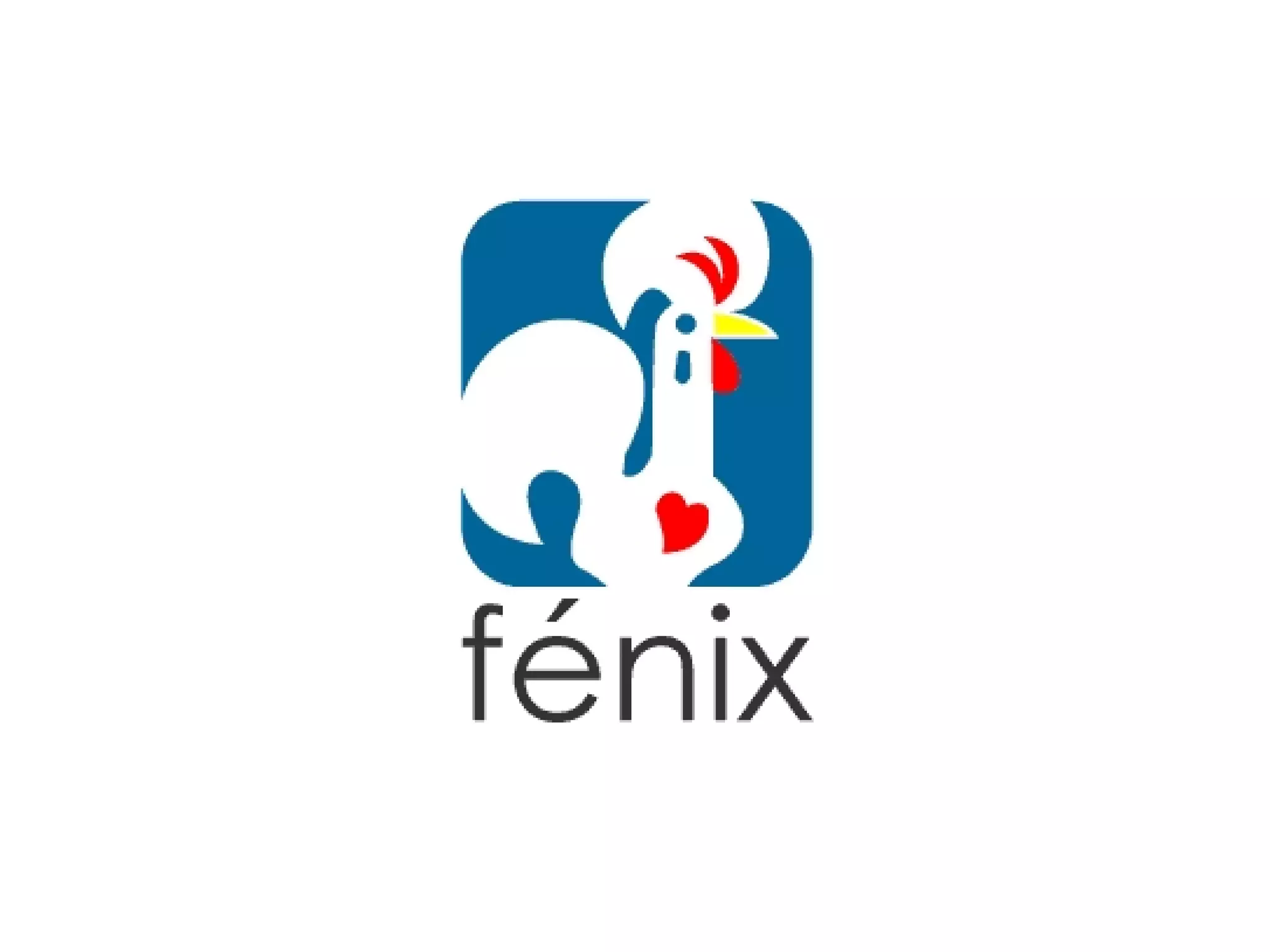 The tale of the Fénix architecture