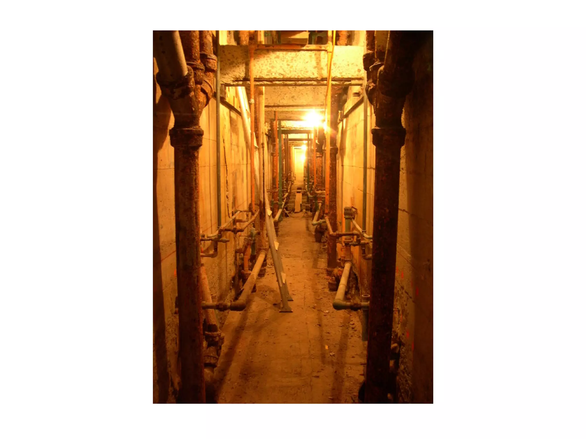 The tale of the Fénix architecture