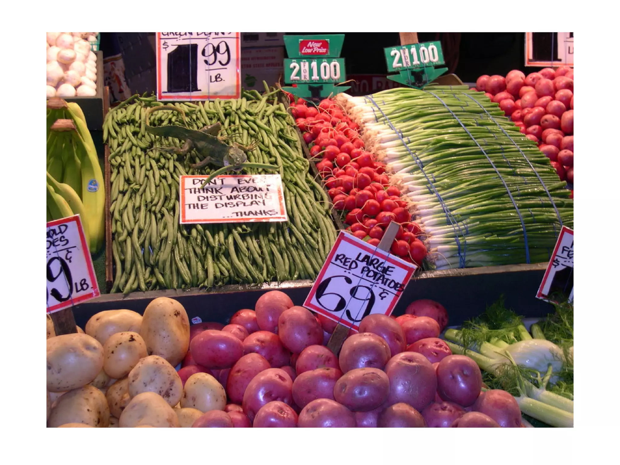 The tale of the Fénix architecture