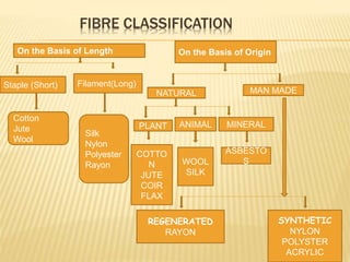 Introduction to fibre | PPTX