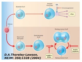 D.A.Thoreley-Lawson,
NEJM: 350;1328 (2004)
 