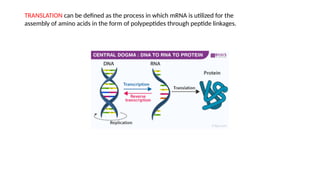 Post -translational modifications notes. | PPTX