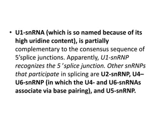 • U1-snRNA (which is so named because of its 
high uridine content), is partially 
complementary to the consensus sequence of 
5’splice junctions. Apparently, U1-snRNP 
recognizes the 5 ’splice junction. Other snRNPs 
that participate in splicing are U2-snRNP, U4– 
U6-snRNP (in which the U4- and U6-snRNAs 
associate via base pairing), and U5-snRNP. 
 