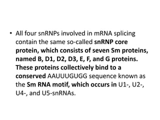 • All four snRNPs involved in mRNA splicing 
contain the same so-called snRNP core 
protein, which consists of seven Sm proteins, 
named B, D1, D2, D3, E, F, and G proteins. 
These proteins collectively bind to a 
conserved AAUUUGUGG sequence known as 
the Sm RNA motif, which occurs in U1-, U2-, 
U4-, and U5-snRNAs. 
 