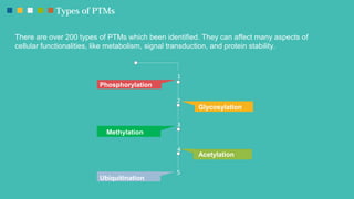 Brief introduction of post-translational modifications (PTMs) Slide 4