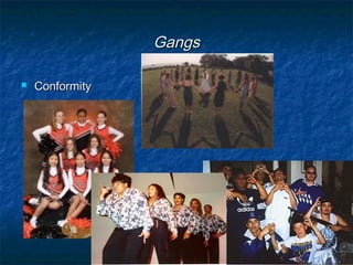 GangsGangs
 ConformityConformity
 