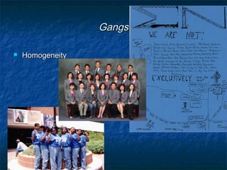 GangsGangs
 HomogeneityHomogeneity
 